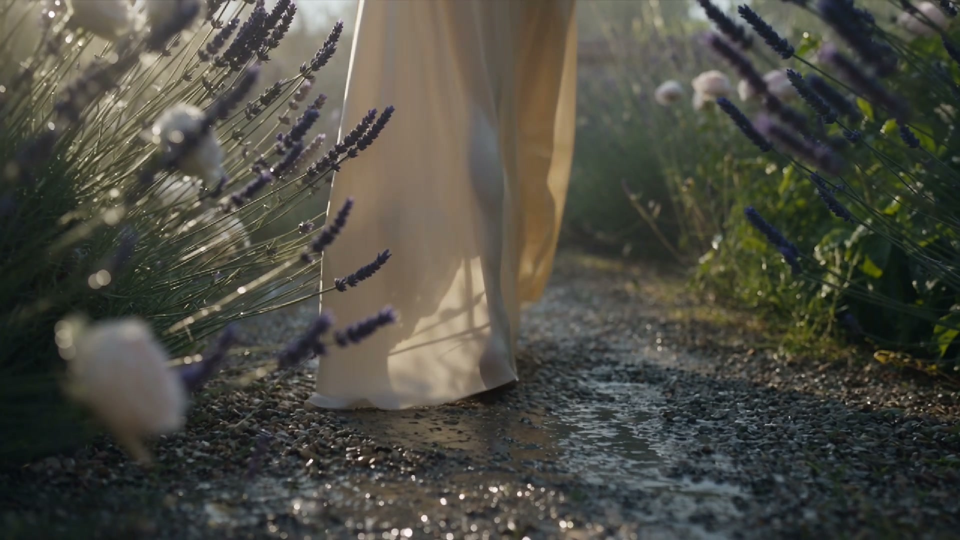 Motion shot through lavender